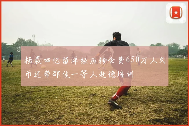 杨晨回忆留洋经历转会费650万人民币还带邵佳一等人赴德培训