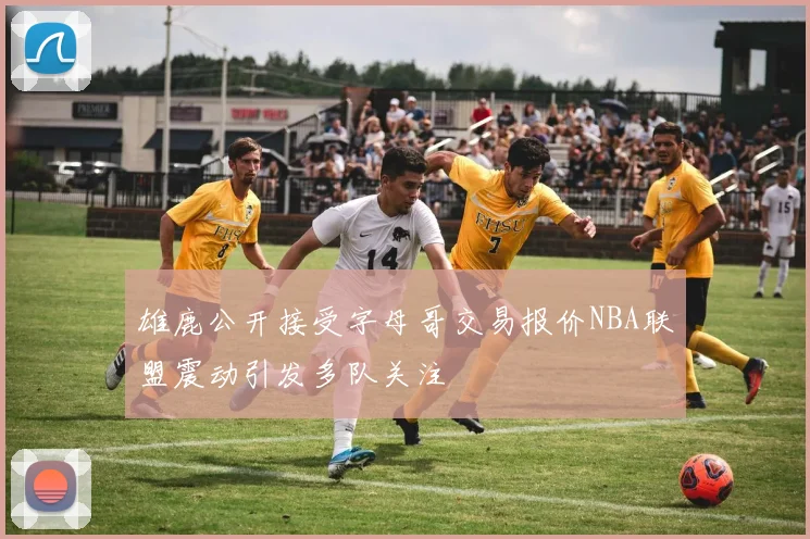 雄鹿公开接受字母哥交易报价NBA联盟震动引发多队关注
